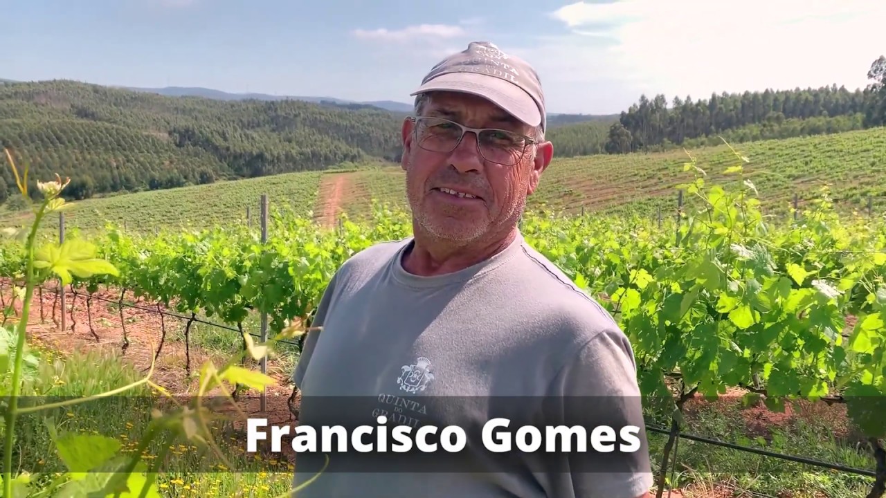 WINE EDUCATION Episódio 10 Pessoas YouTube