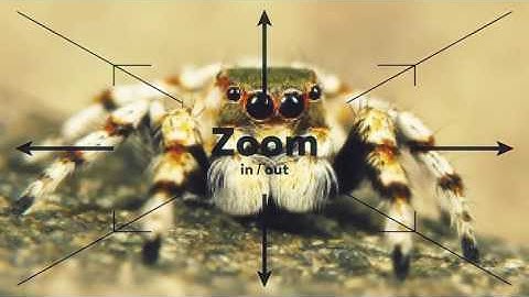 Handy Seamless Transitions | Pack & Script | Download After Effects template