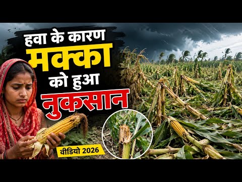 Hava Ke Kaaran Makke Ko Hua Nukasaan Video 2026