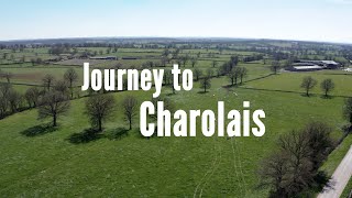 Redu Charolais - Journey to Charolais