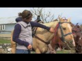 Fall Horseback Riding | Outdoor Journal | Season 13