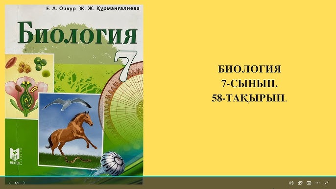 Жапондық инцест порно