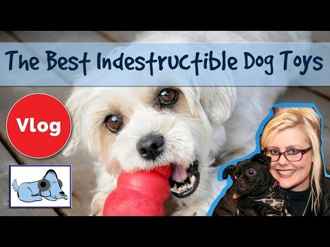 best indestructible dog toys