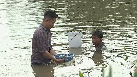 Con vọp bên bãi bồi ven sông