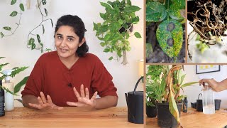 Dealing With Fungus On Plants | Garden Up Basics Ep.25