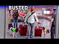 Airport Sniffer Dogs EXPOSE Every Dr G Smuggler 