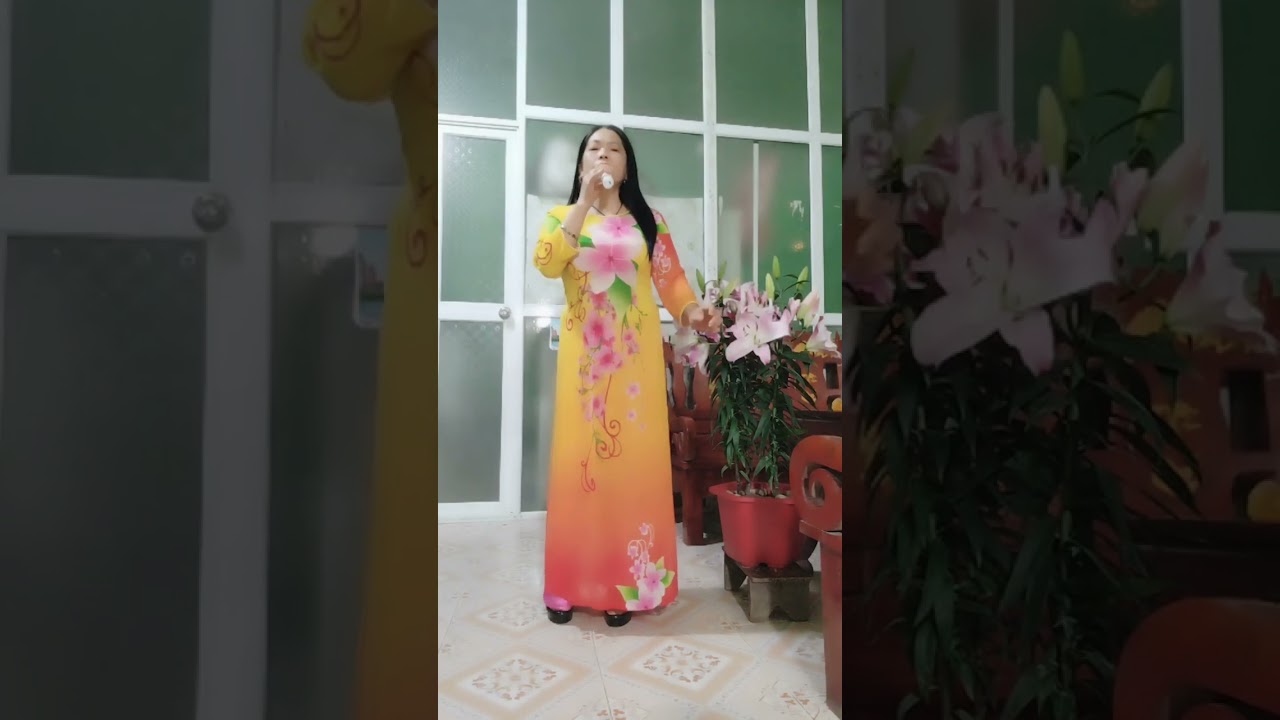 Ca khúc : mùa xuân bên cửa sổ 