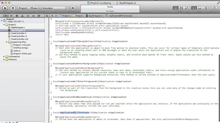 iPhone/iPad Application Development Tutorial : Chapter 2:Practical Session :Life Cycle Of iOS Apps