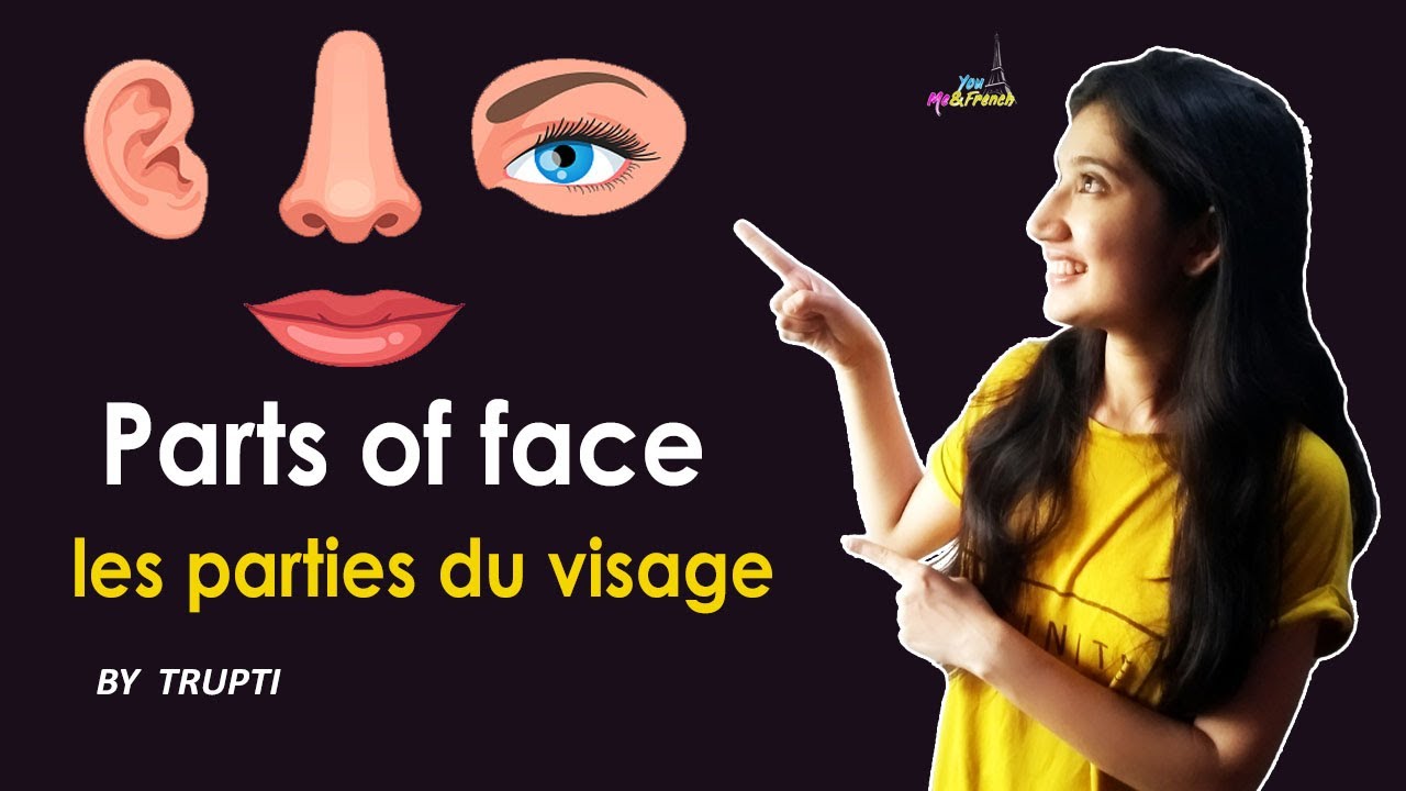 Parts of face (les parties du visage) - YouTube