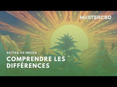 Sativa vs Indica : Des Variétés de Cannabis Différentes ?