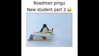 Roadman Pingu new student part 2 🤣