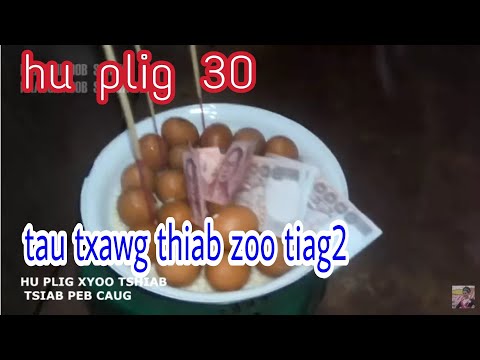 Video: Khoom Plig Rau Xyoo Tshiab - Xyoo Npua