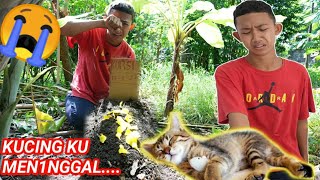 SEDIH! KUCING SAPUTRA MATI😭 | Mikael Family