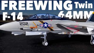 Freewing F-14 64mm everything you need to know ￼