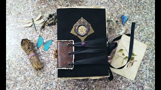 Dragonfly guardian - witchy grimoire flip through