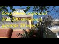 Дом в центре Сочи 200 м  за 39 млн  рублей!!!!