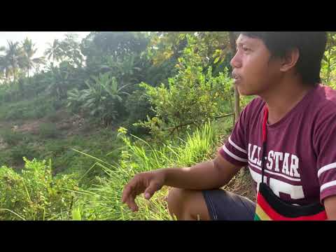 Video: Ano Ang Contour Gardening – Alamin Ang Mga Benepisyo Ng Contour Gardening