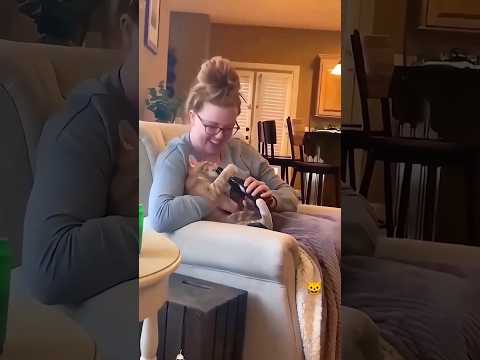 Epic funny video (laugh time) 🤣😂🤣#shorts #funnyvideo #comedyvideo #viralvideo #fails #youtubeshorts