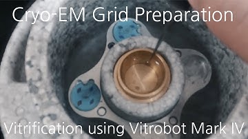 Cryo-EM Grid Preparation - Vitrification using Vitrobot Mark IV