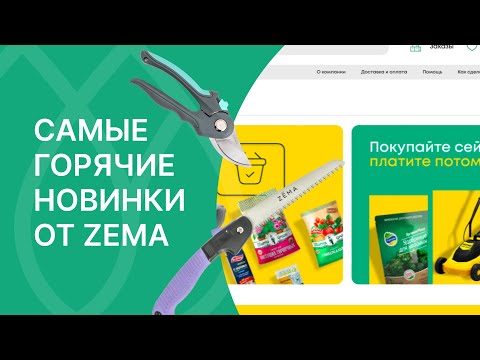 Вы все этого