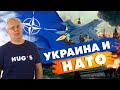 Украина и НАТО: экономика сложных отношений