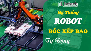 Hệ thống robot bốc xếp bao lên pallet tự động | Intech Group