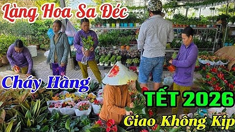LÀNG HOA SA ĐÉC TẾT 2026 KHÔNG KHÍ NHỘP NHỊP NHƯ NGÀY GIÁP TẾT 