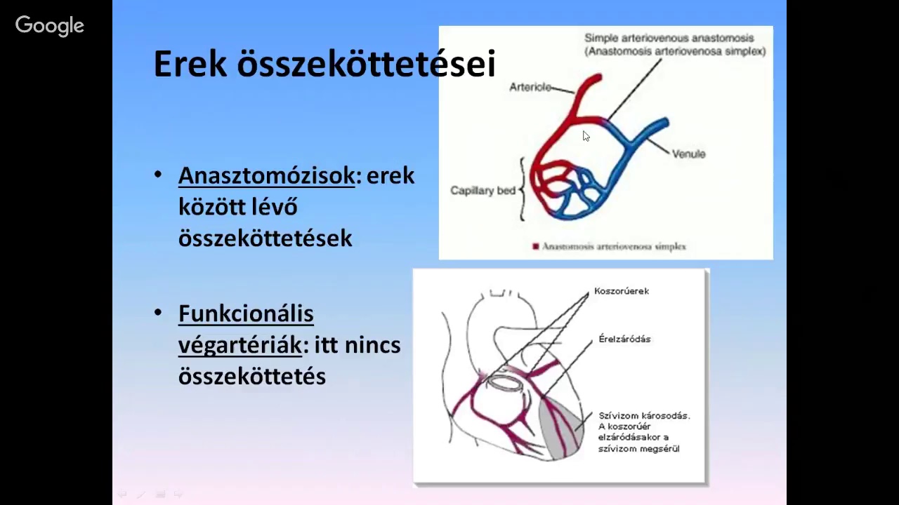 a pulmonalis keringés hipertóniájának patogenezise