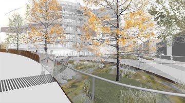 Interdisciplinary Science and Engineering Complex