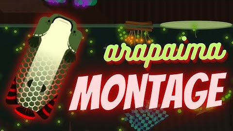 PRO ARAPAIMA MONTAGE I Deeeep.io