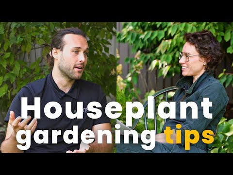 Vídeo: Vegetais em vaso: soluções alternativas para jardineiros urbanos - jardinagem know-how