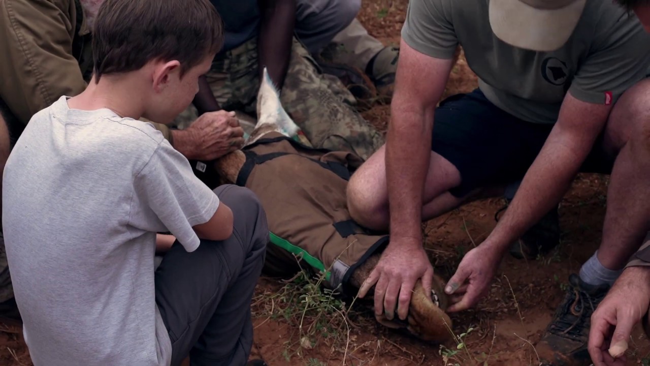 Giraffe Tagging & Conservation in Zimbabwe by GCF