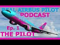 My New Podcast! &#39;From Flight Level 320&#39;, an Airline Pilot Flight Sim Podcast