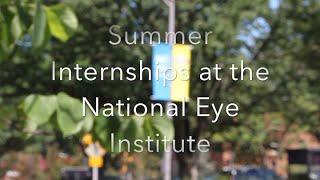 NEI Summer Internship Program (Audio Description)