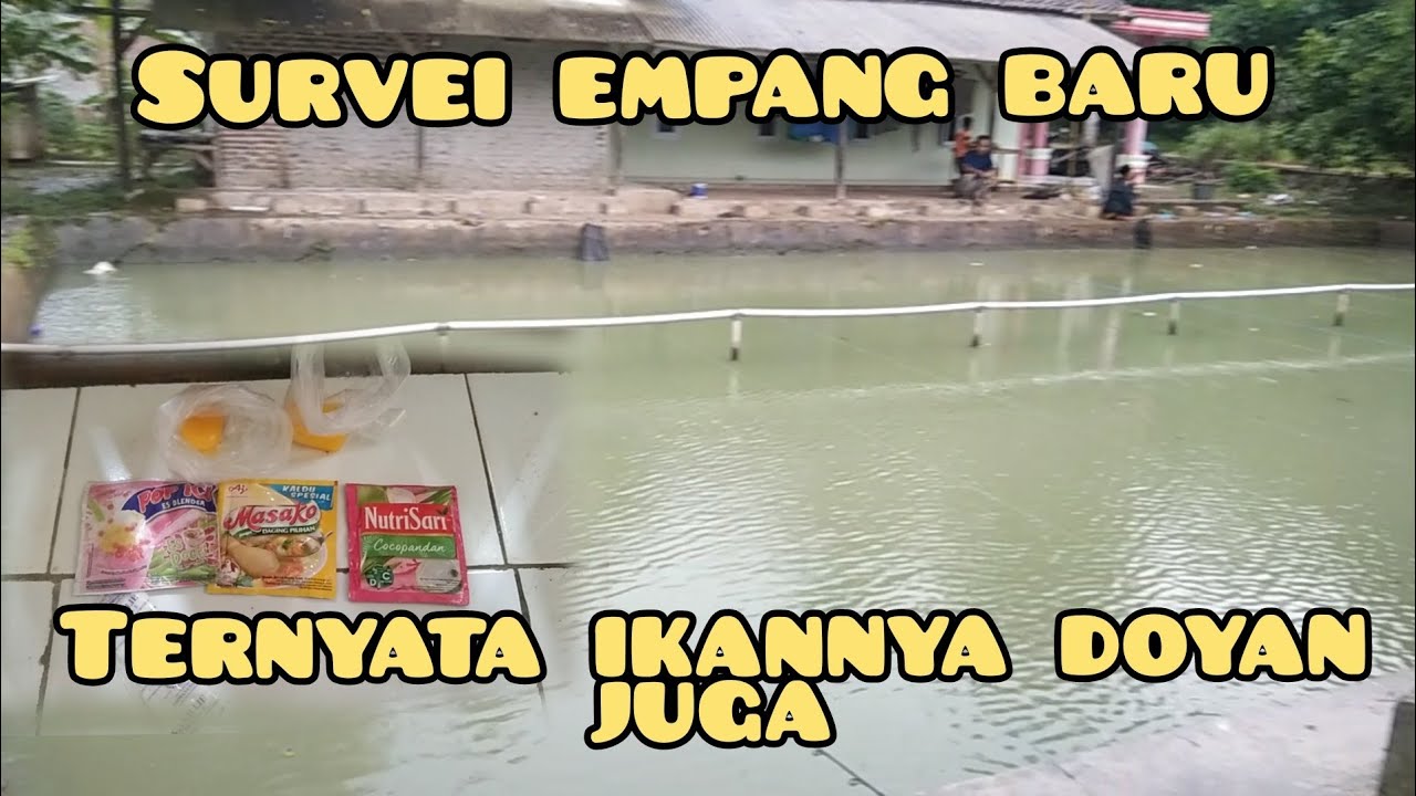 IKAN GABAKALAN NOLAK KALO PAKE UMPAN INI MAH!!!