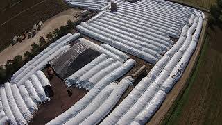 Silage Bags by Apiesse