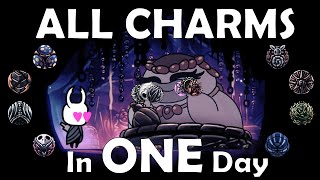 A Day In The Life of a Hollownest Charm Collector