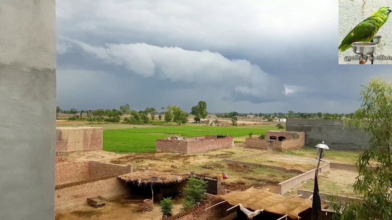 my beautiful weather my beautiful weather