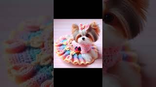 Crochet Pet Clothes #Crochetando #Crochett #Pet #Pets