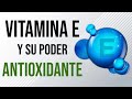 ✅Descubre el poder ANTIOXIDANTE de la Vitamina E y cómo Protege tus CÉLULAS