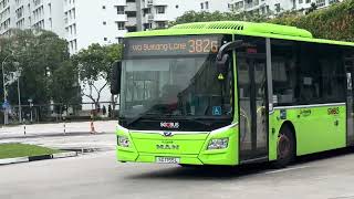 SG1755L Go Ahead MAN A22 E6 on 382G & SBS6438H MB Citaro on 381 at Punggol Bus Int