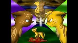 The Longest And Most Passionate Heathertail Rant You Will Ever Listen To