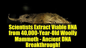 Scientists Extract Viable RNA from 40,000-Year-Old Woolly Mammoth - Ancient DNA Breakthrough!