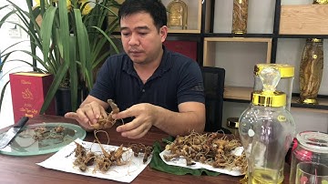 Cách Nhận Biết và Phân Biệt Sâm Ngọc Linh Chuẩn