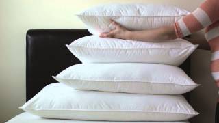 What Are The Basic Pillow Sizes?