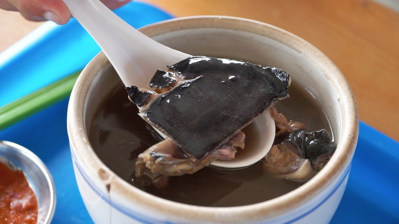 EXTREME Taiwanese Street Food Tour | RARE Turtle Soup Street Food in RURAL Taiwan | Luke Martin