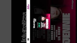 Selar Digital Product (6 Music Festival Templates) | Affinity By Canva
