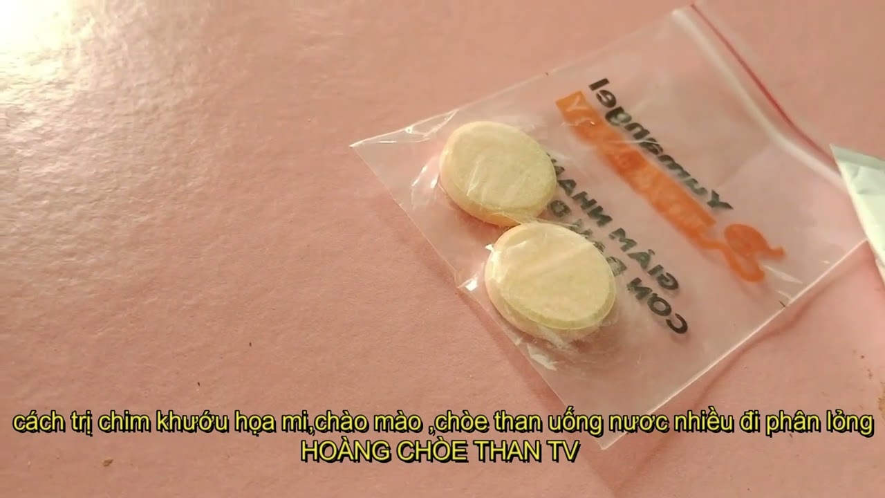 CÁCH  TRỊ CHIM KHƯỚU ,HỌA MI CHÒE THAN, CHÒE LỬA ,MÀO ,UỐNG NƯỚC NHIỀU ĐI PHÂN LỎNG THỐI.