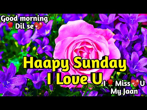 Happy Sunday Good Morning Shayari Romantic Shayari Love