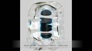 Shaun Moses - Bleep (Cravo Remix) ~ [Quartz Rec]